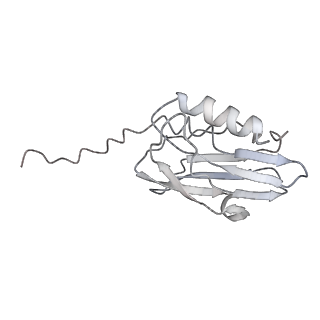 22074_6x6a_C_v1-2
Cryo-EM structure of NLRP1-DPP9 complex