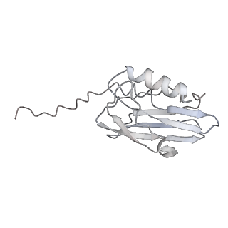 22074_6x6a_C_v1-3
Cryo-EM structure of NLRP1-DPP9 complex