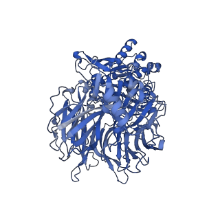 22074_6x6a_D_v1-2
Cryo-EM structure of NLRP1-DPP9 complex