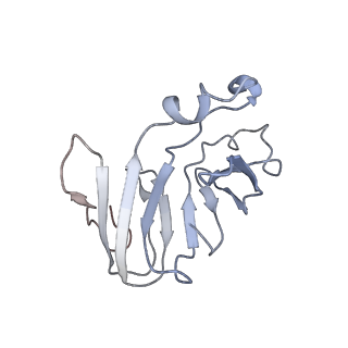 22074_6x6a_E_v1-2
Cryo-EM structure of NLRP1-DPP9 complex