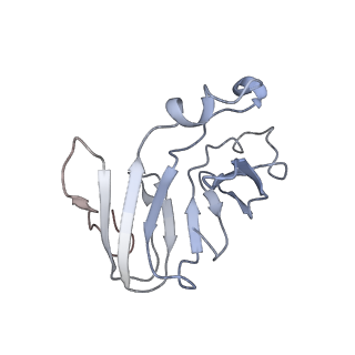 22074_6x6a_E_v1-3
Cryo-EM structure of NLRP1-DPP9 complex