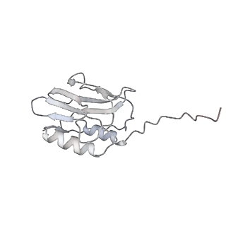 22074_6x6a_F_v1-3
Cryo-EM structure of NLRP1-DPP9 complex