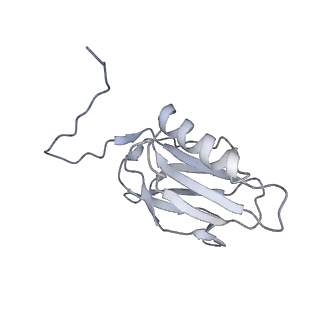 22074_6x6a_G_v1-2
Cryo-EM structure of NLRP1-DPP9 complex