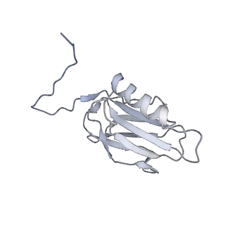 22074_6x6a_G_v1-3
Cryo-EM structure of NLRP1-DPP9 complex