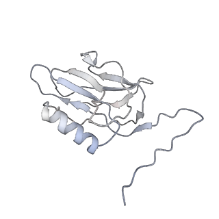 22074_6x6a_I_v1-2
Cryo-EM structure of NLRP1-DPP9 complex