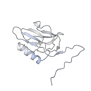 22074_6x6a_I_v1-3
Cryo-EM structure of NLRP1-DPP9 complex