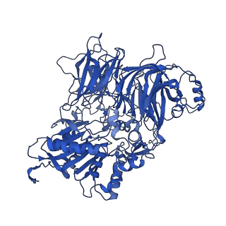 22075_6x6c_A_v1-2
Cryo-EM structure of NLRP1-DPP9-VbP complex