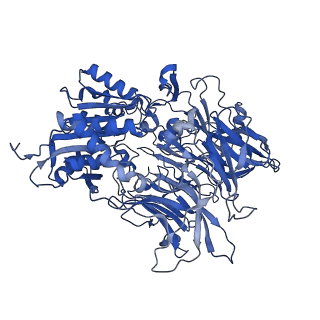22075_6x6c_D_v1-2
Cryo-EM structure of NLRP1-DPP9-VbP complex