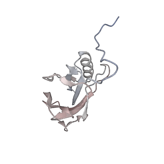 22075_6x6c_F_v1-2
Cryo-EM structure of NLRP1-DPP9-VbP complex