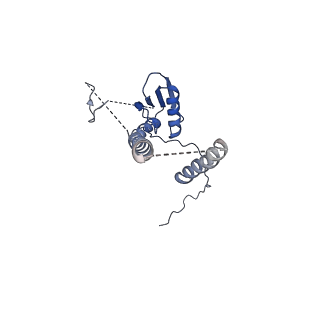 22076_6x6k_AT_v1-1
Cryo-EM Structure of the Helicobacter pylori dCag3 OMC