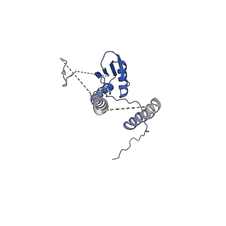 22076_6x6k_AT_v1-2
Cryo-EM Structure of the Helicobacter pylori dCag3 OMC