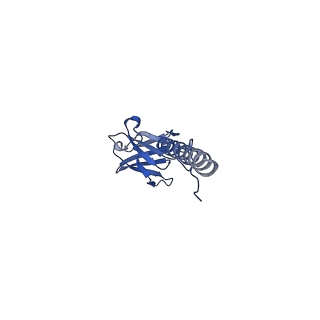 22076_6x6k_AX_v1-1
Cryo-EM Structure of the Helicobacter pylori dCag3 OMC