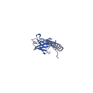 22076_6x6k_AX_v1-2
Cryo-EM Structure of the Helicobacter pylori dCag3 OMC