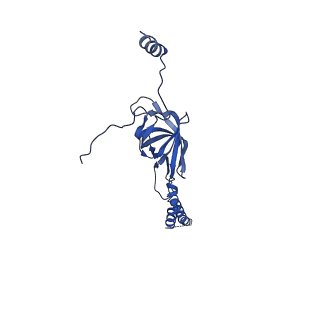 22076_6x6k_AY_v1-2
Cryo-EM Structure of the Helicobacter pylori dCag3 OMC