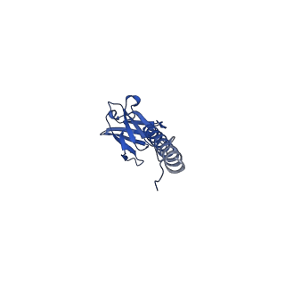 22076_6x6k_BX_v1-1
Cryo-EM Structure of the Helicobacter pylori dCag3 OMC