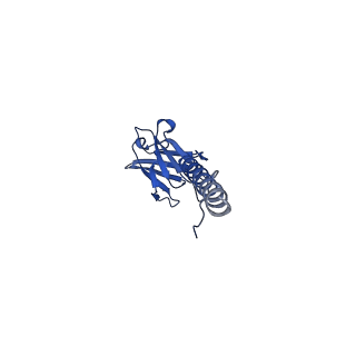 22076_6x6k_BX_v1-2
Cryo-EM Structure of the Helicobacter pylori dCag3 OMC