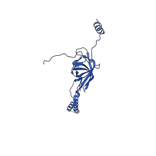 22076_6x6k_BY_v1-1
Cryo-EM Structure of the Helicobacter pylori dCag3 OMC