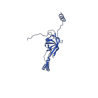 22076_6x6k_BY_v1-2
Cryo-EM Structure of the Helicobacter pylori dCag3 OMC