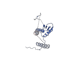 22076_6x6k_CT_v1-1
Cryo-EM Structure of the Helicobacter pylori dCag3 OMC