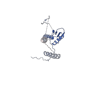 22076_6x6k_CT_v1-2
Cryo-EM Structure of the Helicobacter pylori dCag3 OMC