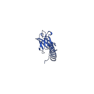 22076_6x6k_CX_v1-1
Cryo-EM Structure of the Helicobacter pylori dCag3 OMC