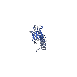 22076_6x6k_CX_v1-2
Cryo-EM Structure of the Helicobacter pylori dCag3 OMC