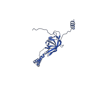 22076_6x6k_CY_v1-1
Cryo-EM Structure of the Helicobacter pylori dCag3 OMC