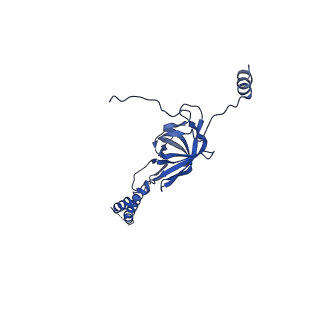 22076_6x6k_CY_v1-2
Cryo-EM Structure of the Helicobacter pylori dCag3 OMC