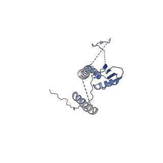 22076_6x6k_DT_v1-1
Cryo-EM Structure of the Helicobacter pylori dCag3 OMC