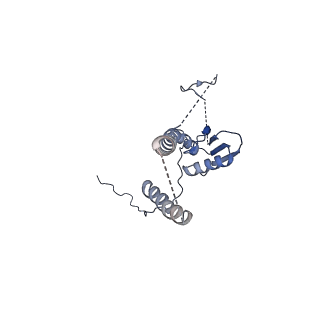 22076_6x6k_DT_v1-2
Cryo-EM Structure of the Helicobacter pylori dCag3 OMC