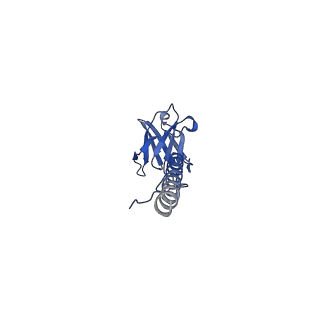 22076_6x6k_DX_v1-2
Cryo-EM Structure of the Helicobacter pylori dCag3 OMC