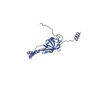 22076_6x6k_DY_v1-1
Cryo-EM Structure of the Helicobacter pylori dCag3 OMC