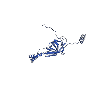 22076_6x6k_DY_v1-2
Cryo-EM Structure of the Helicobacter pylori dCag3 OMC