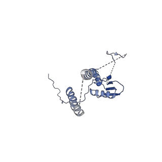 22076_6x6k_ET_v1-1
Cryo-EM Structure of the Helicobacter pylori dCag3 OMC