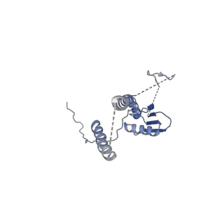 22076_6x6k_ET_v1-2
Cryo-EM Structure of the Helicobacter pylori dCag3 OMC