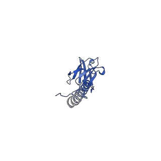 22076_6x6k_EX_v1-1
Cryo-EM Structure of the Helicobacter pylori dCag3 OMC