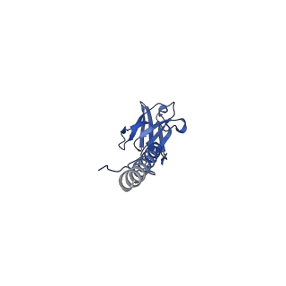 22076_6x6k_EX_v1-2
Cryo-EM Structure of the Helicobacter pylori dCag3 OMC