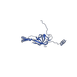 22076_6x6k_EY_v1-1
Cryo-EM Structure of the Helicobacter pylori dCag3 OMC