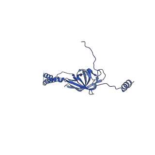 22076_6x6k_EY_v1-2
Cryo-EM Structure of the Helicobacter pylori dCag3 OMC