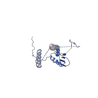 22076_6x6k_FT_v1-1
Cryo-EM Structure of the Helicobacter pylori dCag3 OMC