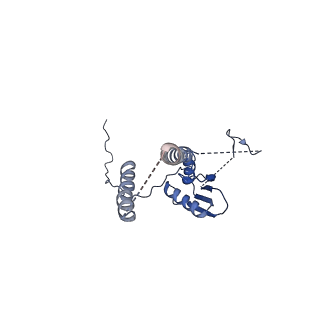 22076_6x6k_FT_v1-2
Cryo-EM Structure of the Helicobacter pylori dCag3 OMC