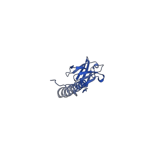 22076_6x6k_FX_v1-1
Cryo-EM Structure of the Helicobacter pylori dCag3 OMC