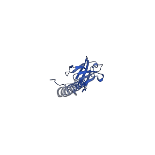 22076_6x6k_FX_v1-2
Cryo-EM Structure of the Helicobacter pylori dCag3 OMC