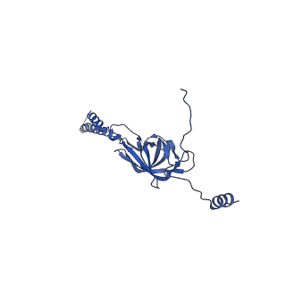 22076_6x6k_FY_v1-1
Cryo-EM Structure of the Helicobacter pylori dCag3 OMC