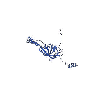 22076_6x6k_FY_v1-2
Cryo-EM Structure of the Helicobacter pylori dCag3 OMC