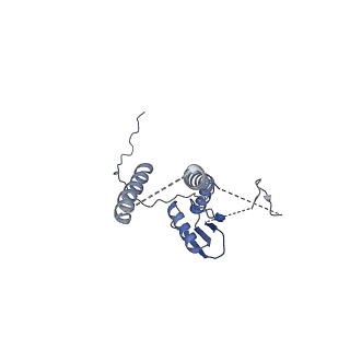 22076_6x6k_GT_v1-1
Cryo-EM Structure of the Helicobacter pylori dCag3 OMC