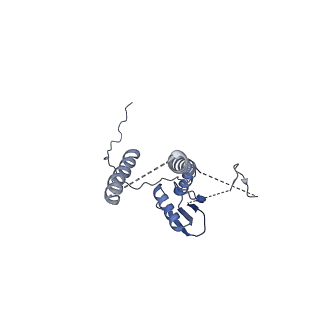 22076_6x6k_GT_v1-2
Cryo-EM Structure of the Helicobacter pylori dCag3 OMC