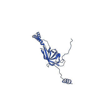 22076_6x6k_GY_v1-1
Cryo-EM Structure of the Helicobacter pylori dCag3 OMC