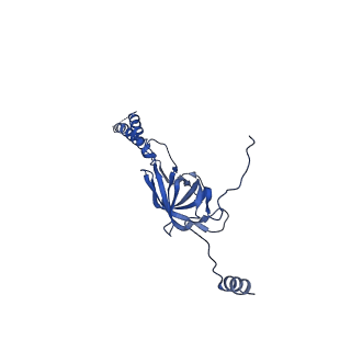 22076_6x6k_GY_v1-2
Cryo-EM Structure of the Helicobacter pylori dCag3 OMC