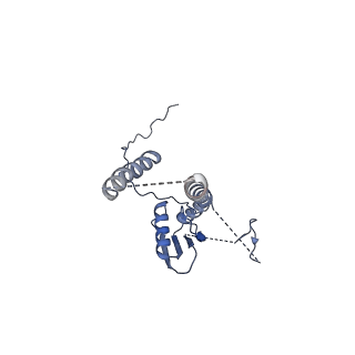 22076_6x6k_HT_v1-1
Cryo-EM Structure of the Helicobacter pylori dCag3 OMC